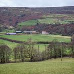 North York Moors